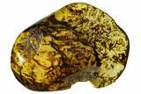 Polished Chiapas Amber ( g) - Mexico #114957-1